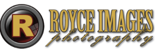 Royce Images_1712253297.png